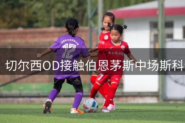 切尔西OD接触伯恩茅斯中场斯科特，蓝军今夏下一个重磅目标浮出水面